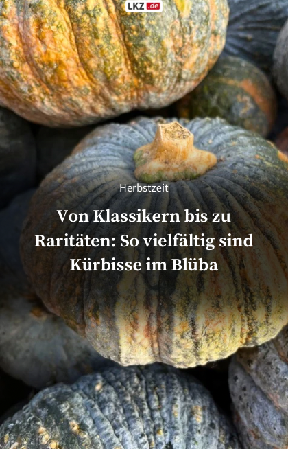 The Diversity of Pumpkins in the Blooming Baroque