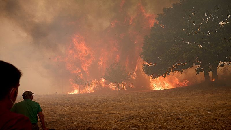 Waldbrände der Superlative: 2025 ein schwarzes Jahr für Europa
