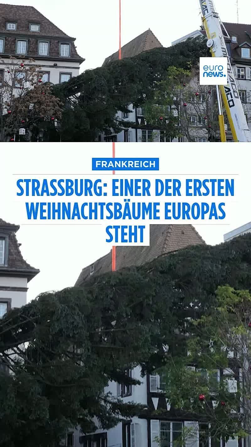 Video: Erster Weihnachtsbaum steht bereits auf dem Weihnachtsmarkt