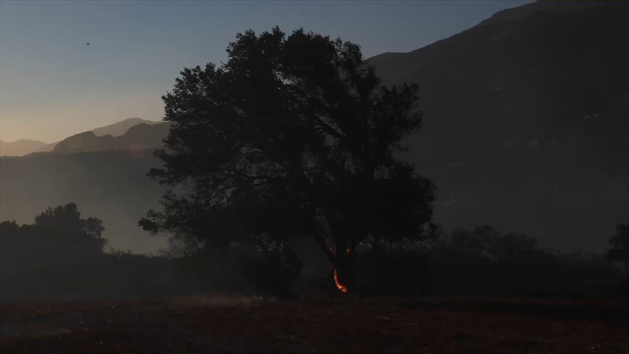 Video: Griechenland: Zahl der Todesopfer durch Waldbrände steigt auf 3