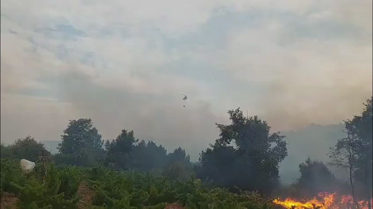 Video: Spanien: Feuerwehrleute kämpfen gegen wütenden Waldbrand, Flammen bedrohen spanisches Dorf