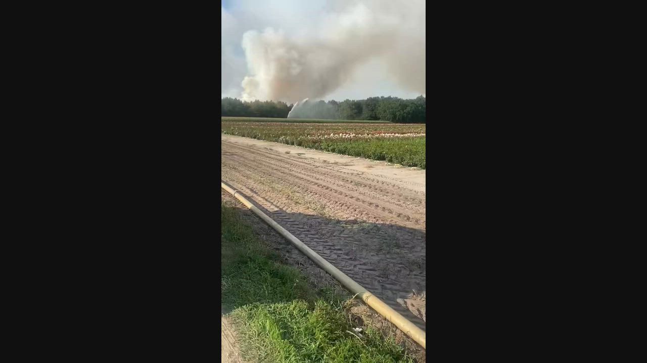 Video: Niederlande: Gewaltiger Waldbrand wütet in Naturschutzgebiet – Feuerwehr kämpft gegen sich ausbreitende Flammen