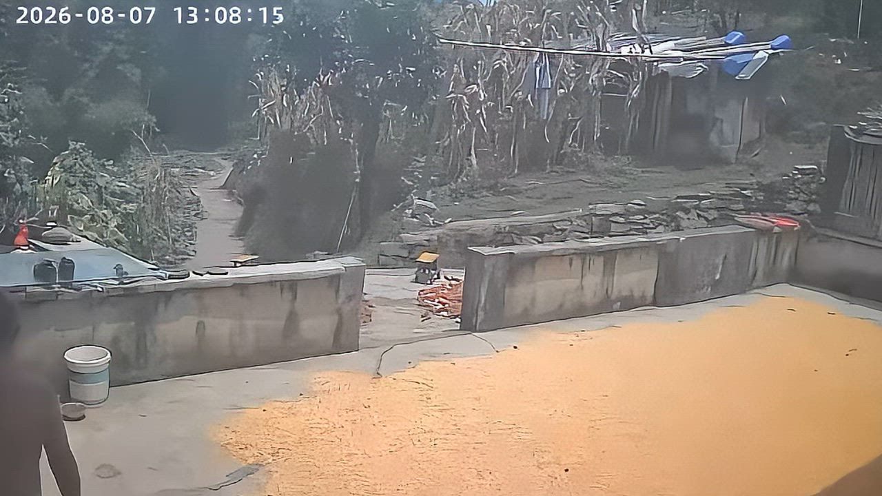 Video: China: Mann sprintet in Sicherheit, als Erdbeben der Stärke 5,2 Sichuan erschüttert