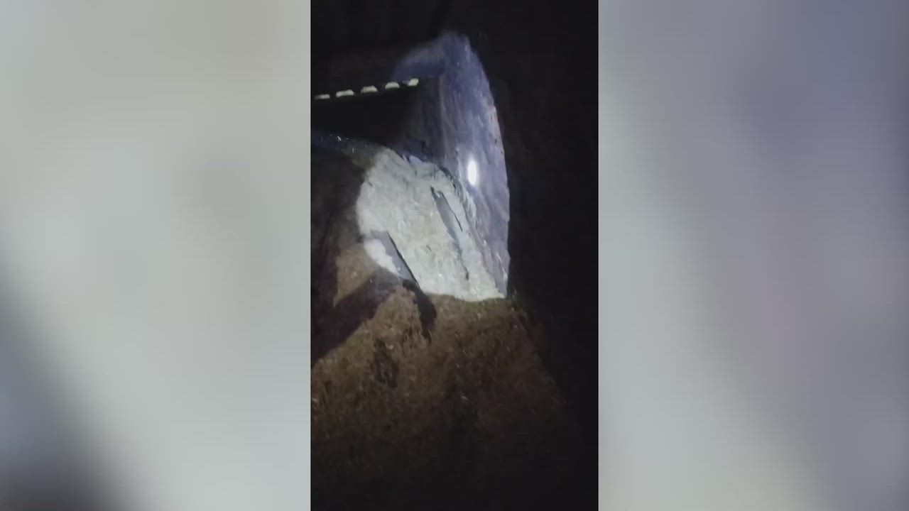 Video: India: Übelkeit auslösender Moment, als eine Kobra bei dramatischer Rettung neun Hühnereier wieder auswürgt