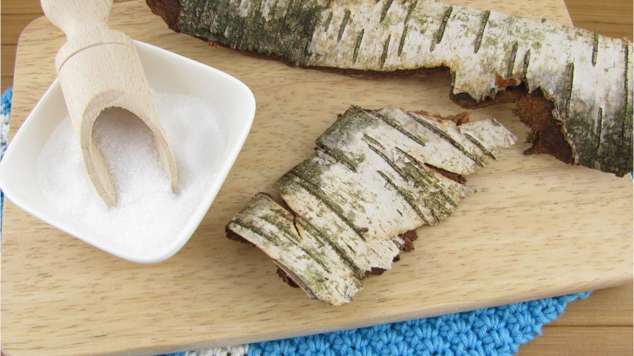 Studie: Birkenzucker kann zu Herzproblemen führen