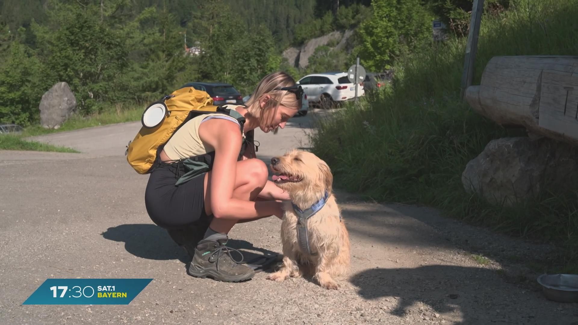 Mit Hund in die Berge? Influencerin mit tierischen Wander-Tipps