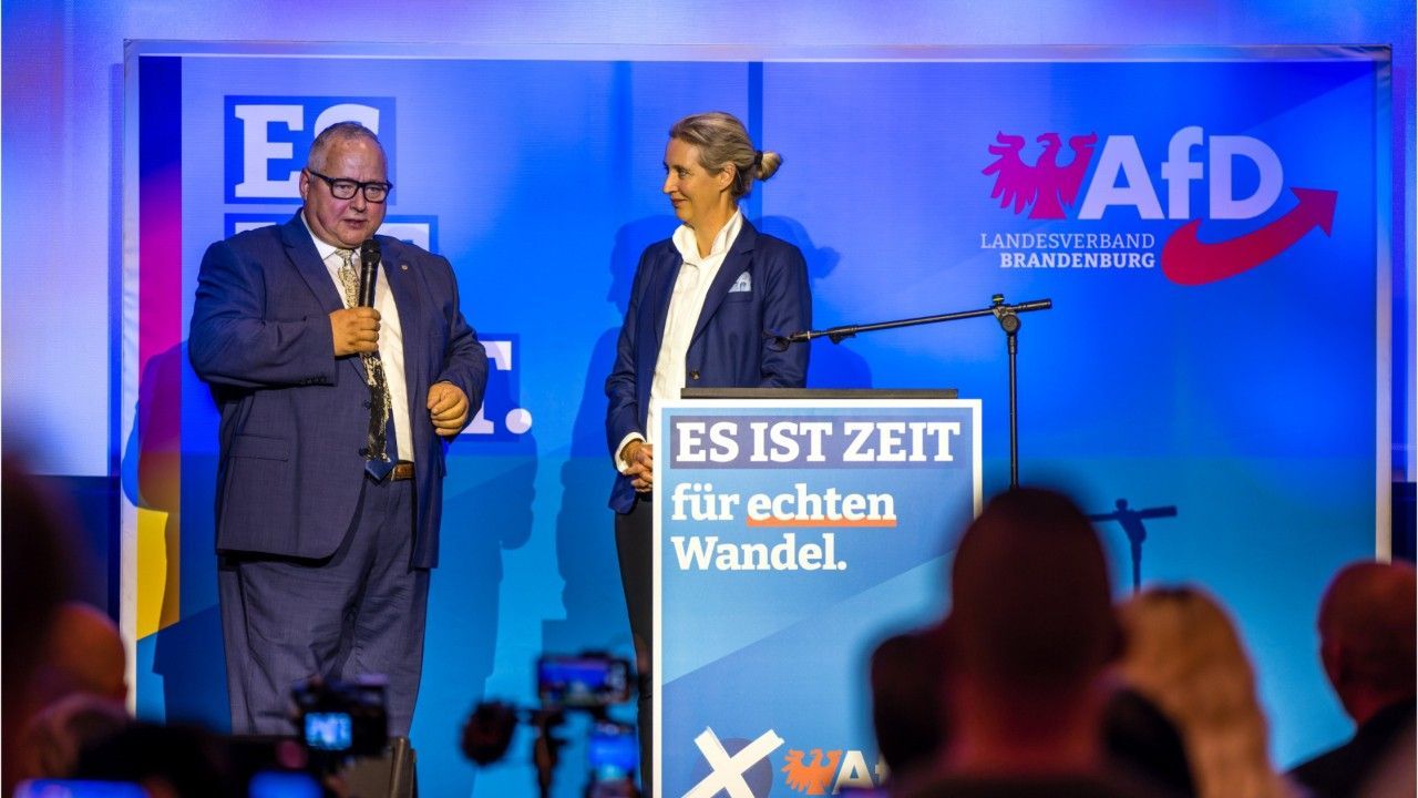 Das soll Putins Plan mit der AfD sein