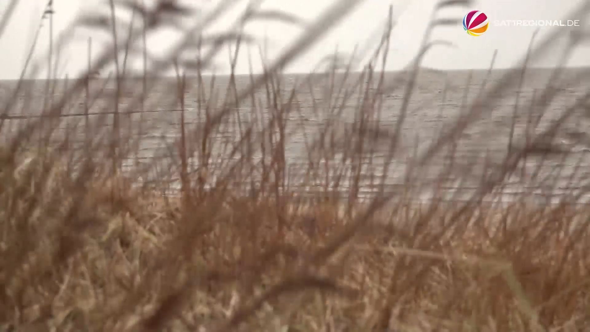 Tief "Iris": Sturmböen an der Nordseeküste und in Bremen