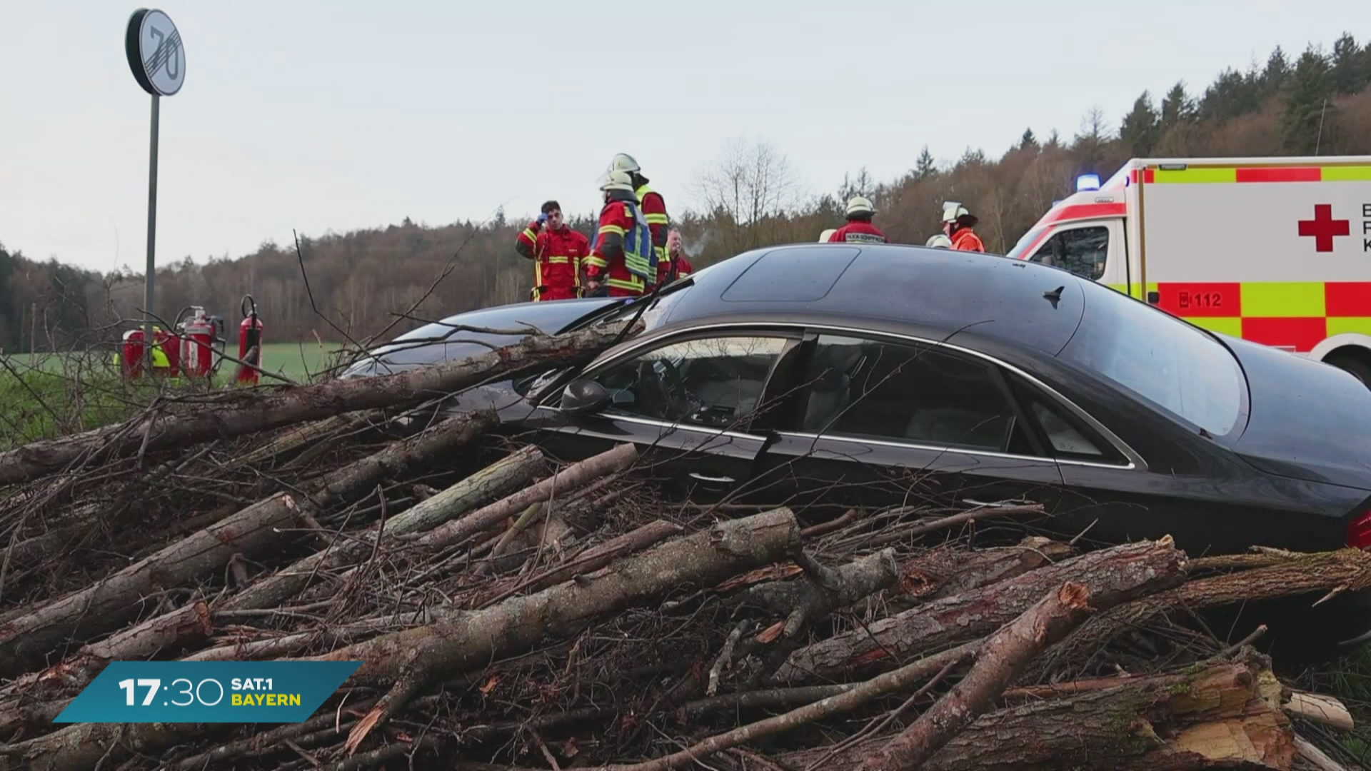 Unfall in Unterfranken: Baumstamm bohrt sich durch Windschutzscheibe