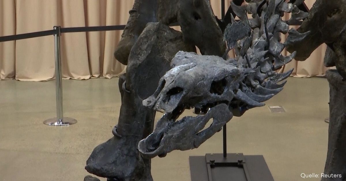 New York Museum: Kompletter Dinosaurier enthüllt
