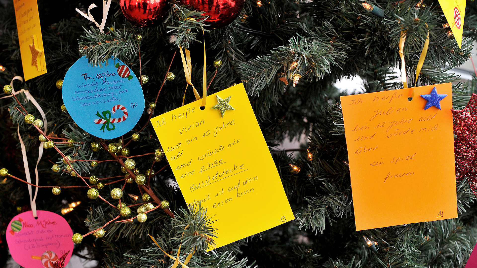 Rührender Weihnachtstrend wird beliebter