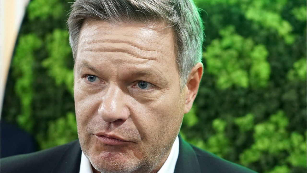 Habeck attackiert Musk: Demokratie in Gefahr