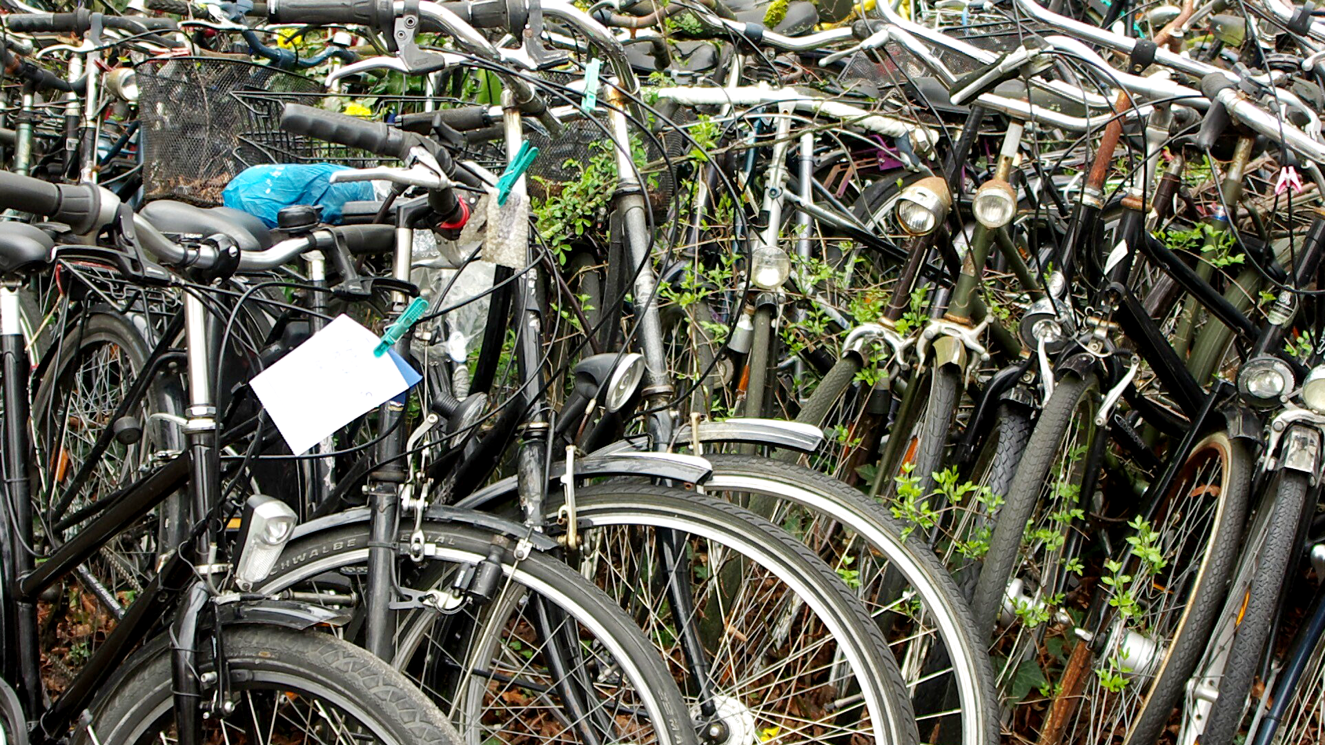 Video: Wichtige Tipps für den Gebrauchtradkauf