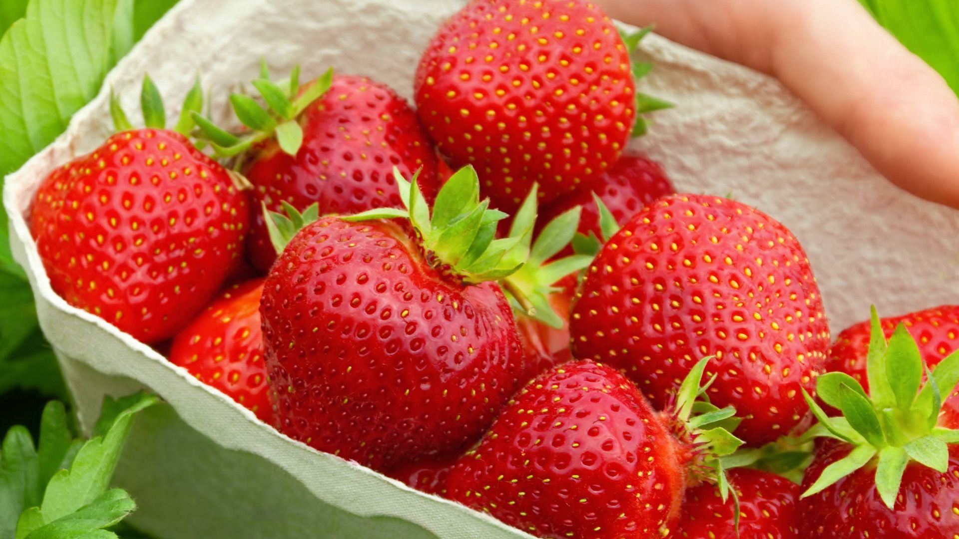 Video: Preisexplosion bei deutschen Erdbeeren