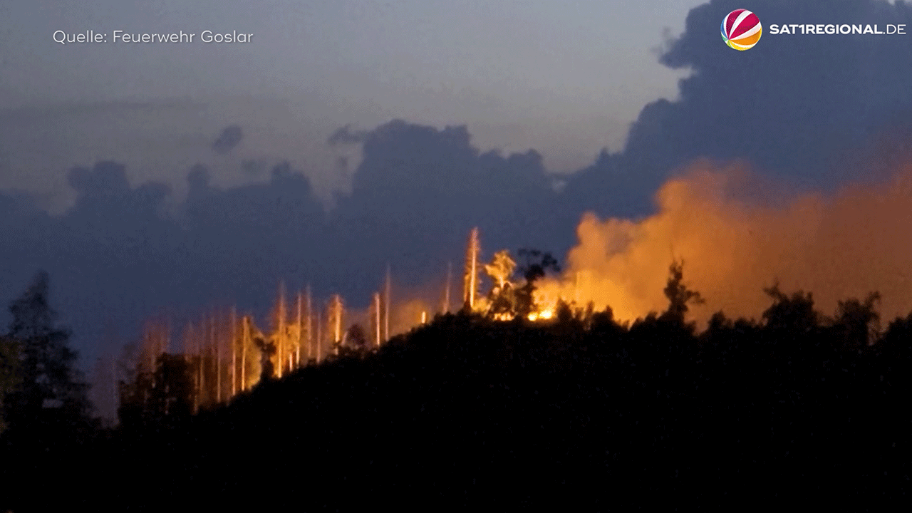 Video: Waldbrand im Harz unter Kontrolle