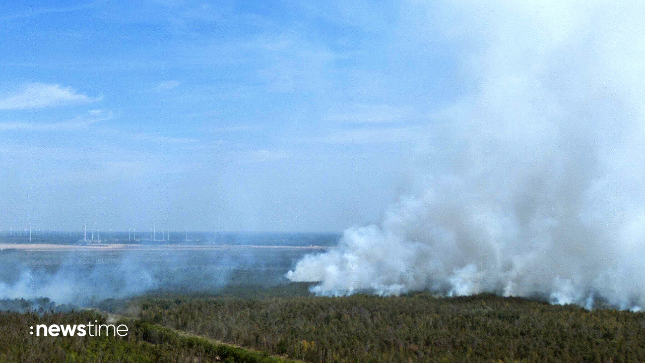 Devastating forest fires in Gohrischheide