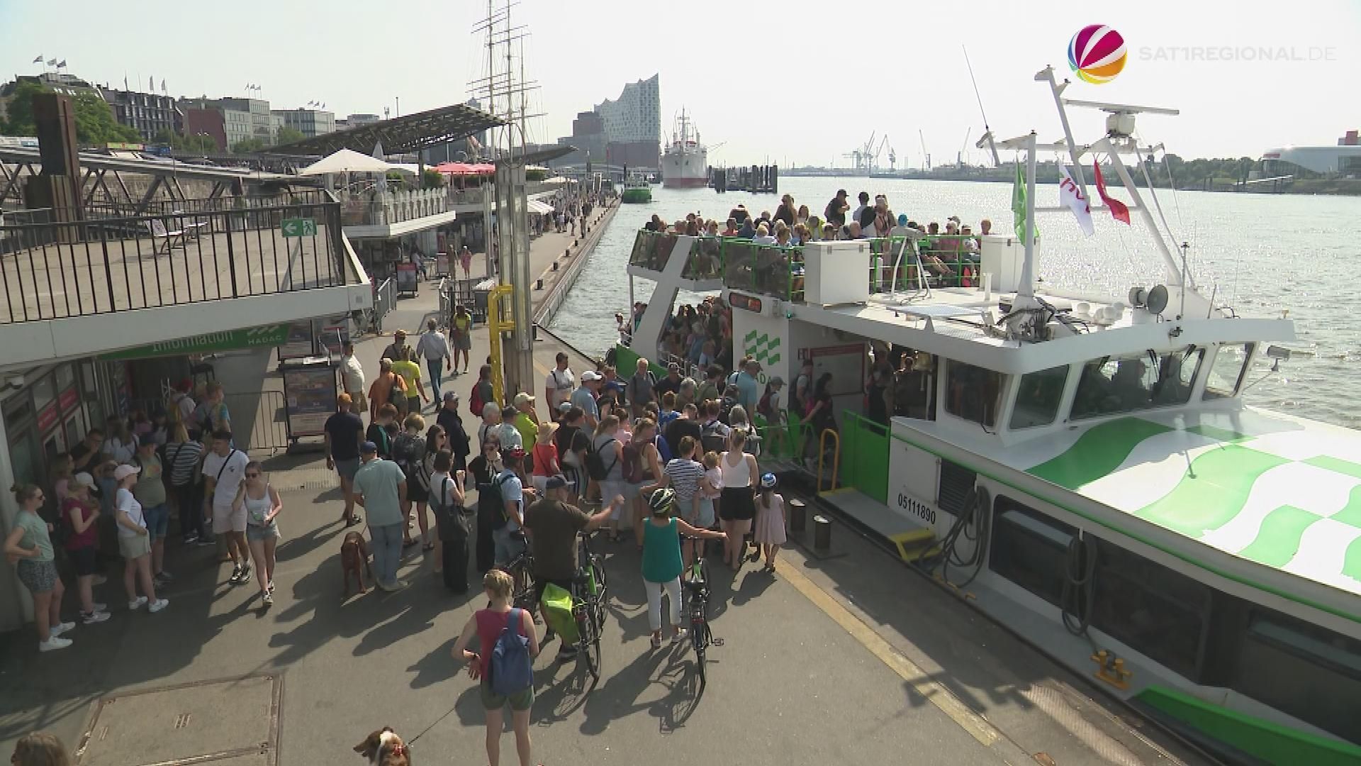Harbor Tour: Vacationers and Locals Enjoy Summer Weather in Hamburg