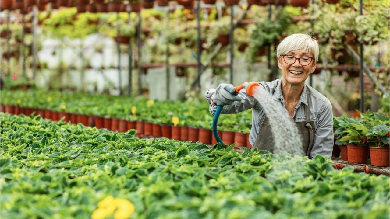 Mini-Job: Das ändert sich für Rentner ab 2026