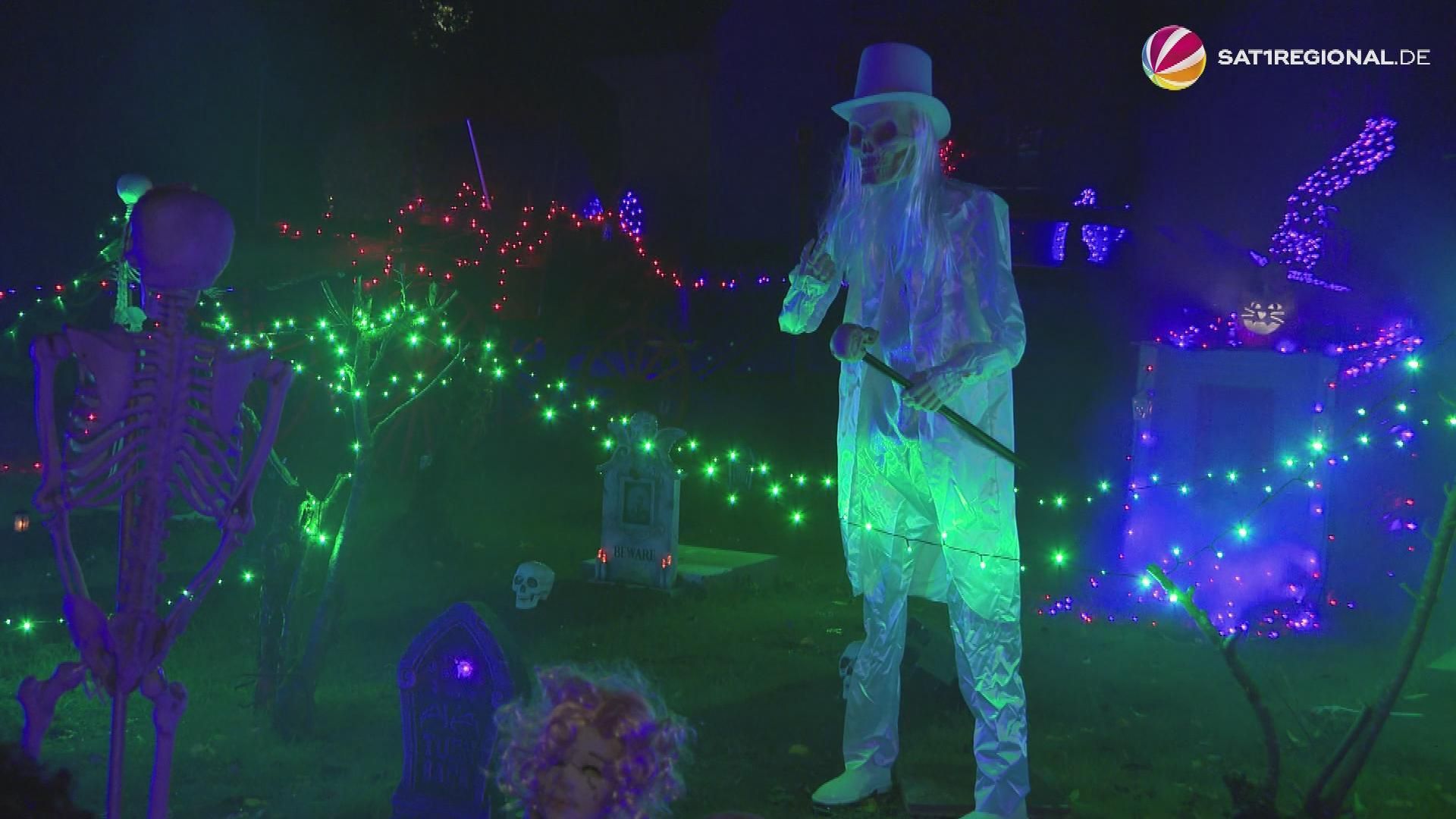 Halloween: Private Horror Garden Attracts Visitors to Leese