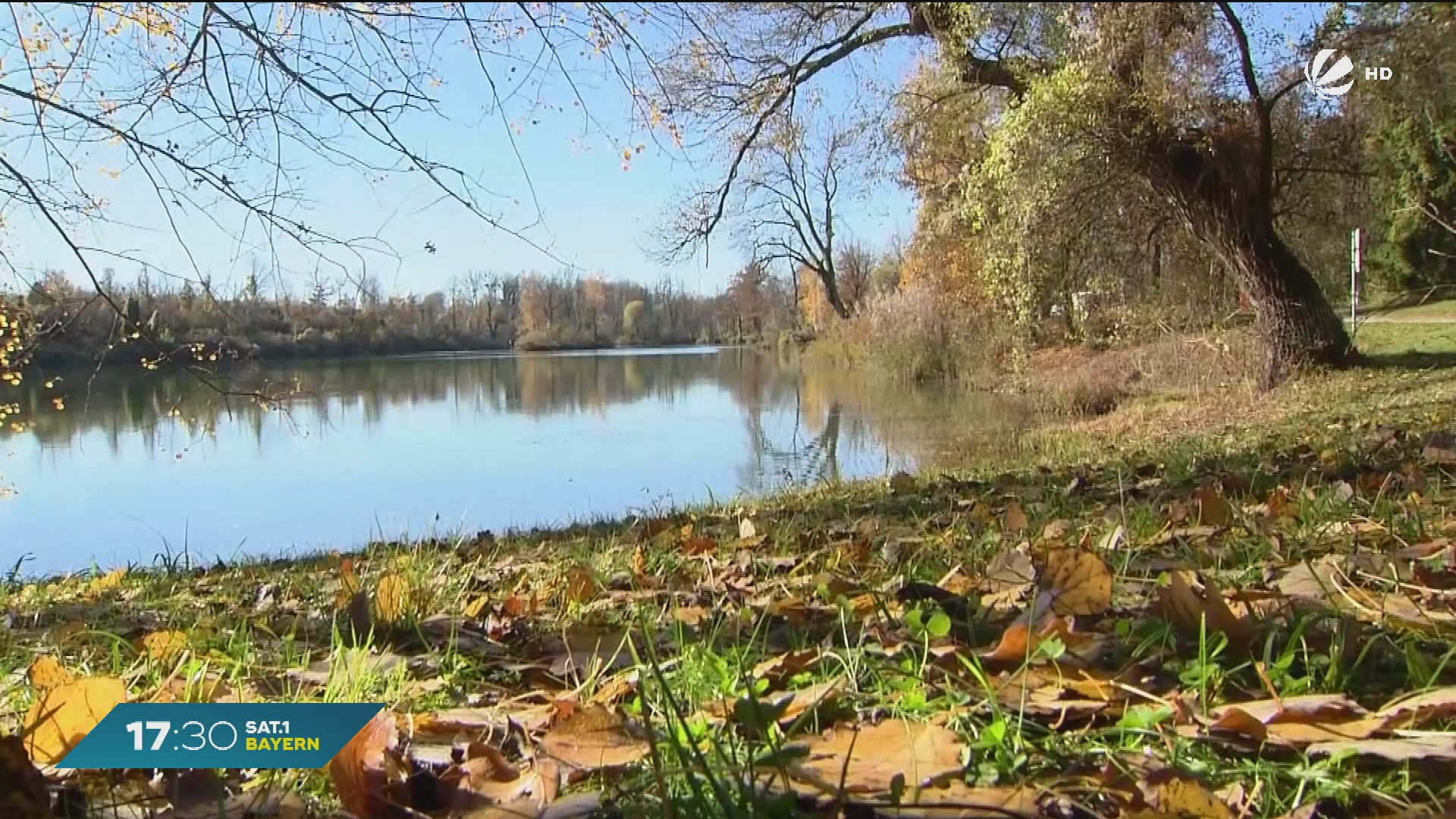 Video: Goldener Herbst in Bayern: Glitzernde Sonnenstrahlen und bunter Blätterzauber