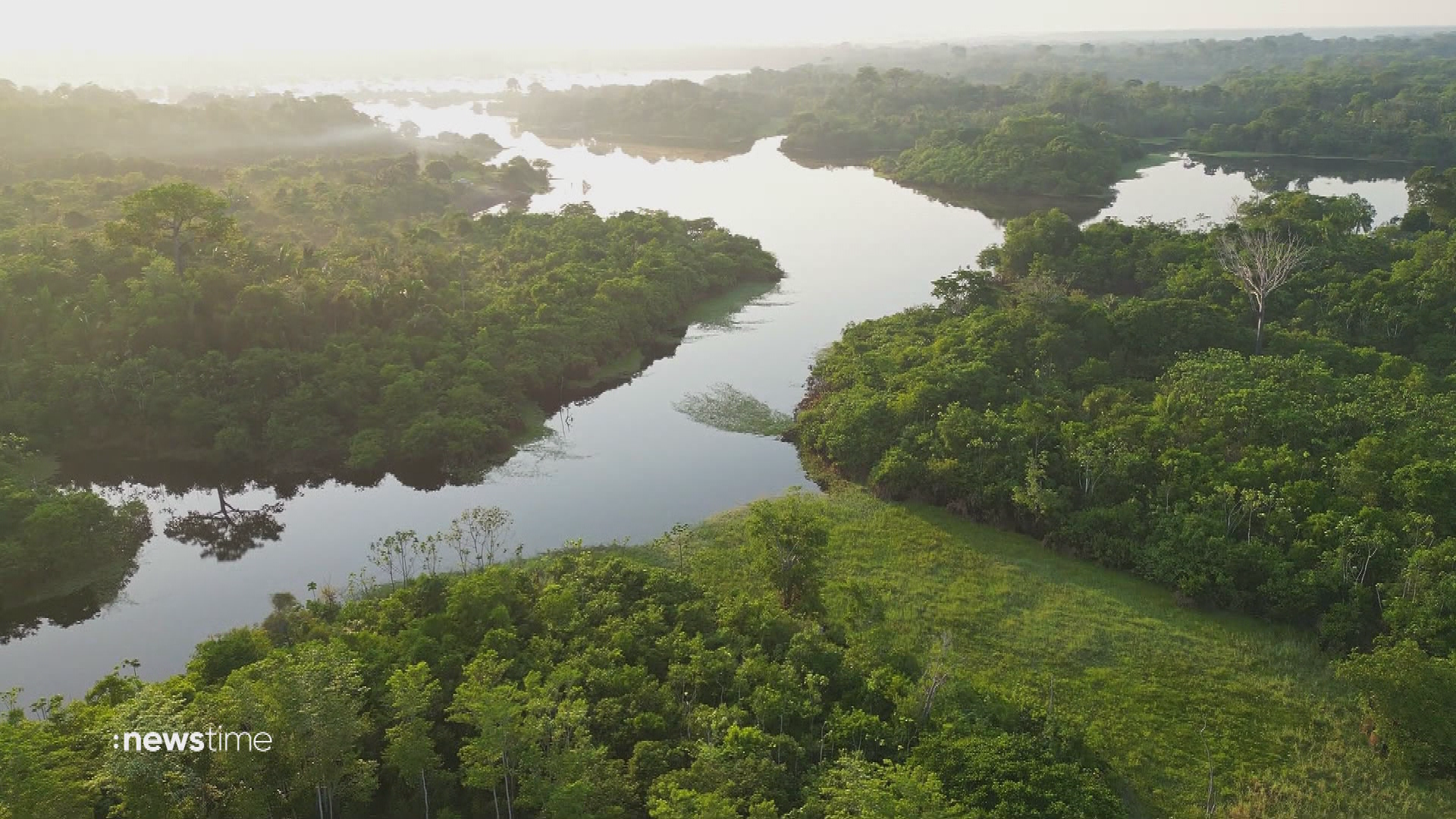 Video: Der Amazonas: Einzigartig und bedroht