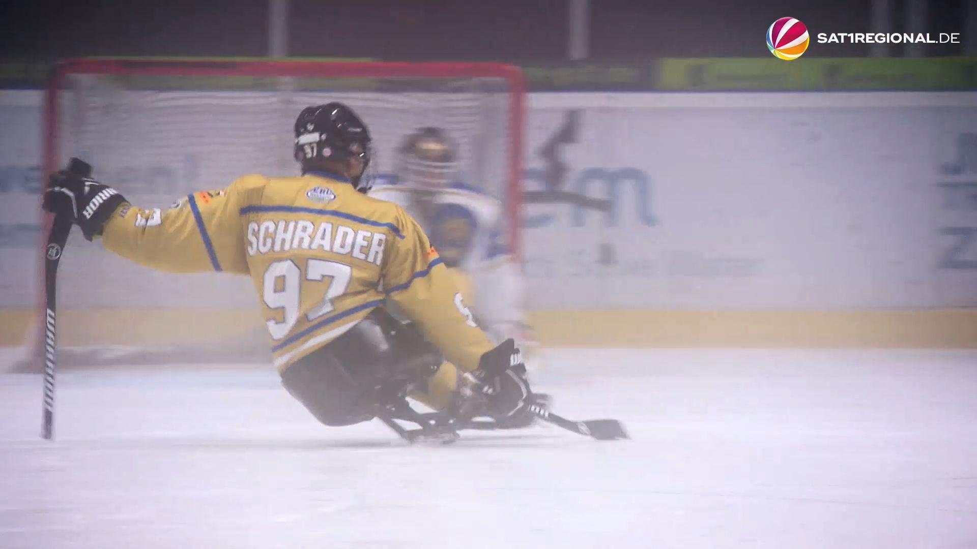 Ice Lions Hannover: Para-Ice Hockey Team to Defend German Championship