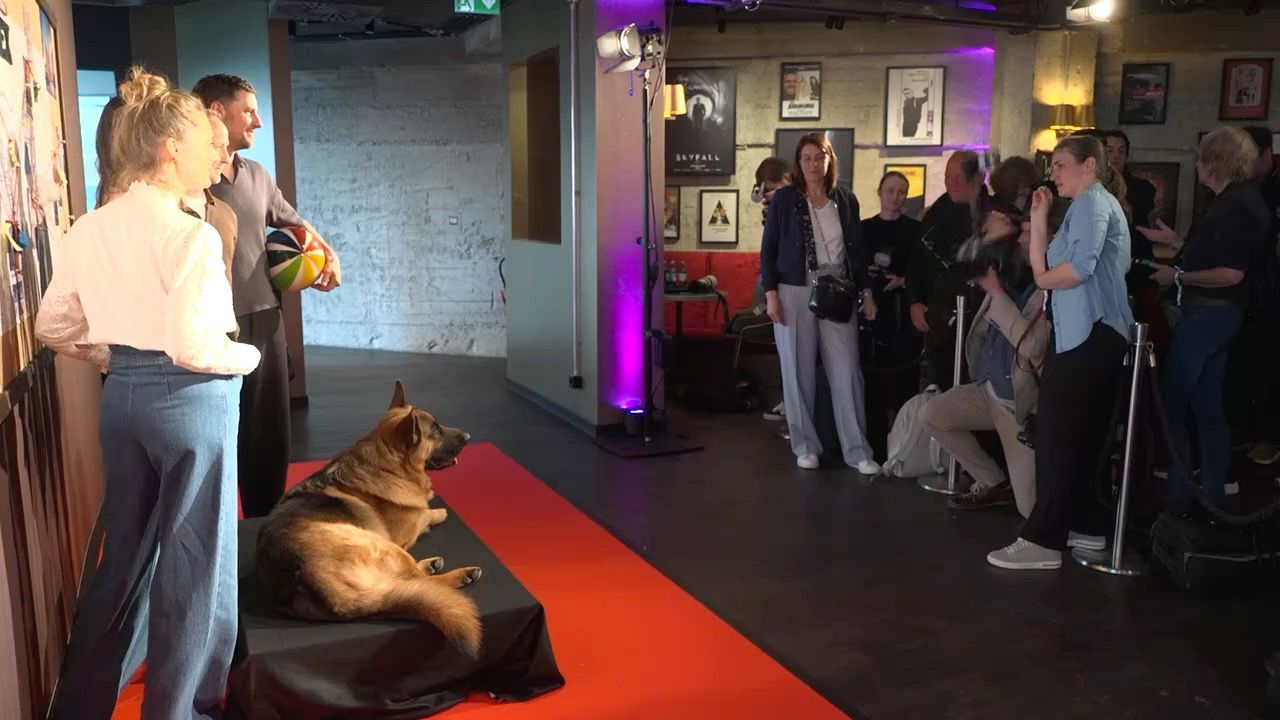 Video: „Kommissar Rex” kehrt zurück: Premiere von Kultserie in München
