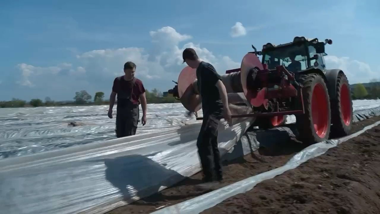 Video: Spargelsaison in Bayern: Bauer aus Möhrendorf kämpft mit Hindernissen