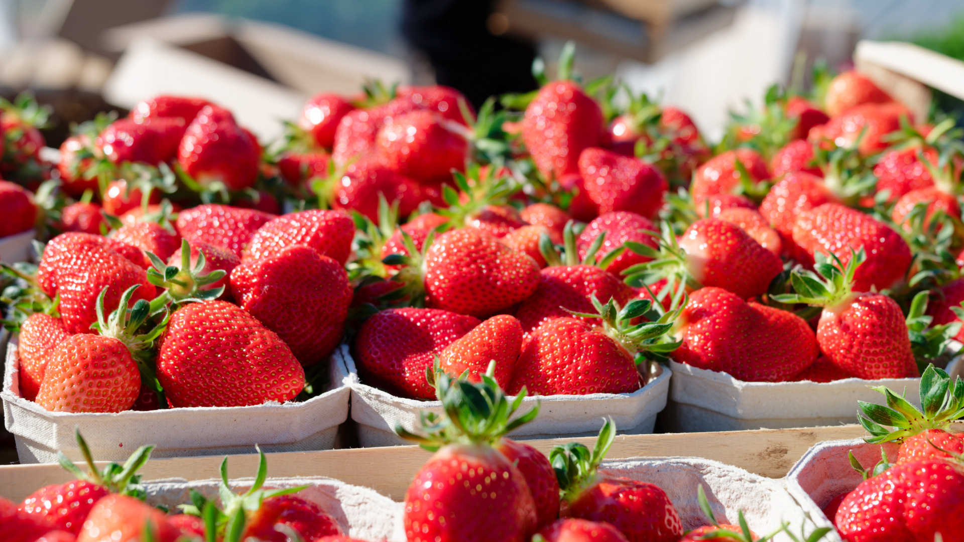 Video: Warum Erdbeeren immer teurer werden