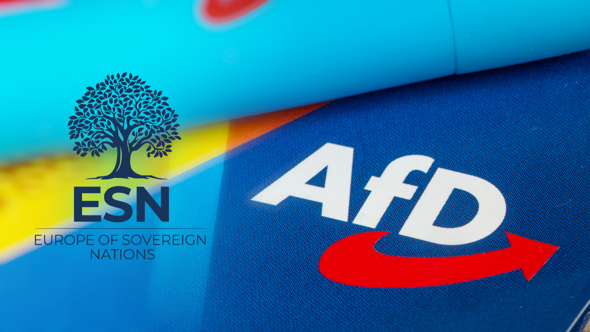 Video: Europapartei der AfD wird untersucht