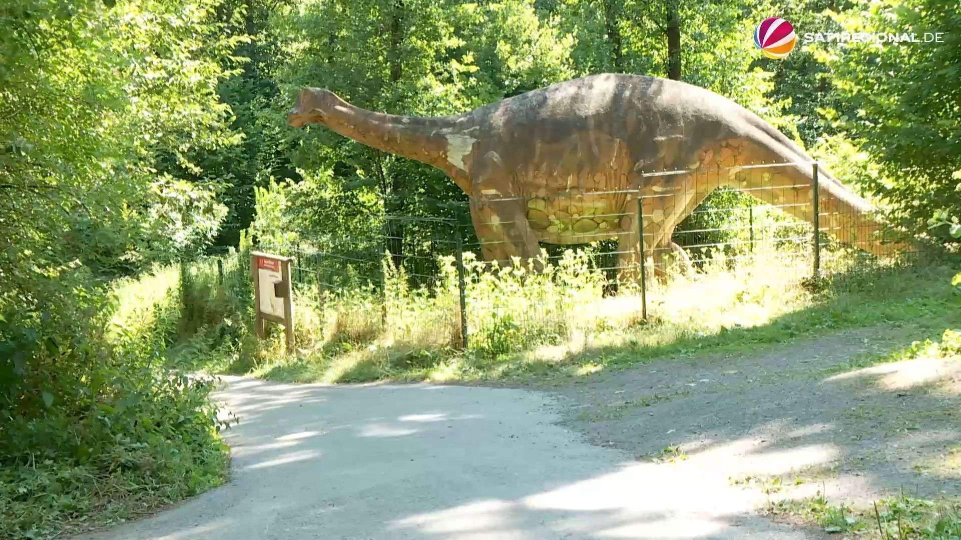 Video: 5,5 Meter und etwa 7 Tonnen: Natur- und Geopark mustert Riesendino aus
