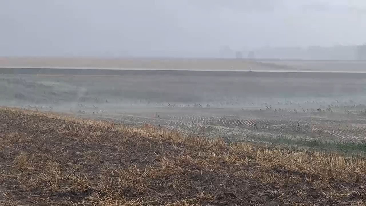 Video: Hagel und Starkregen in Bayern: Straßen und Marktplatz überflutet