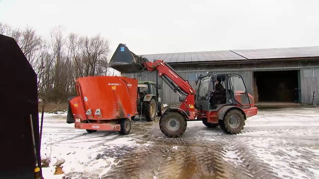 Video: Landwirtin aus Leidenschaft: 28-Jährige aus Puchheim teilt Alltag auf Instagram