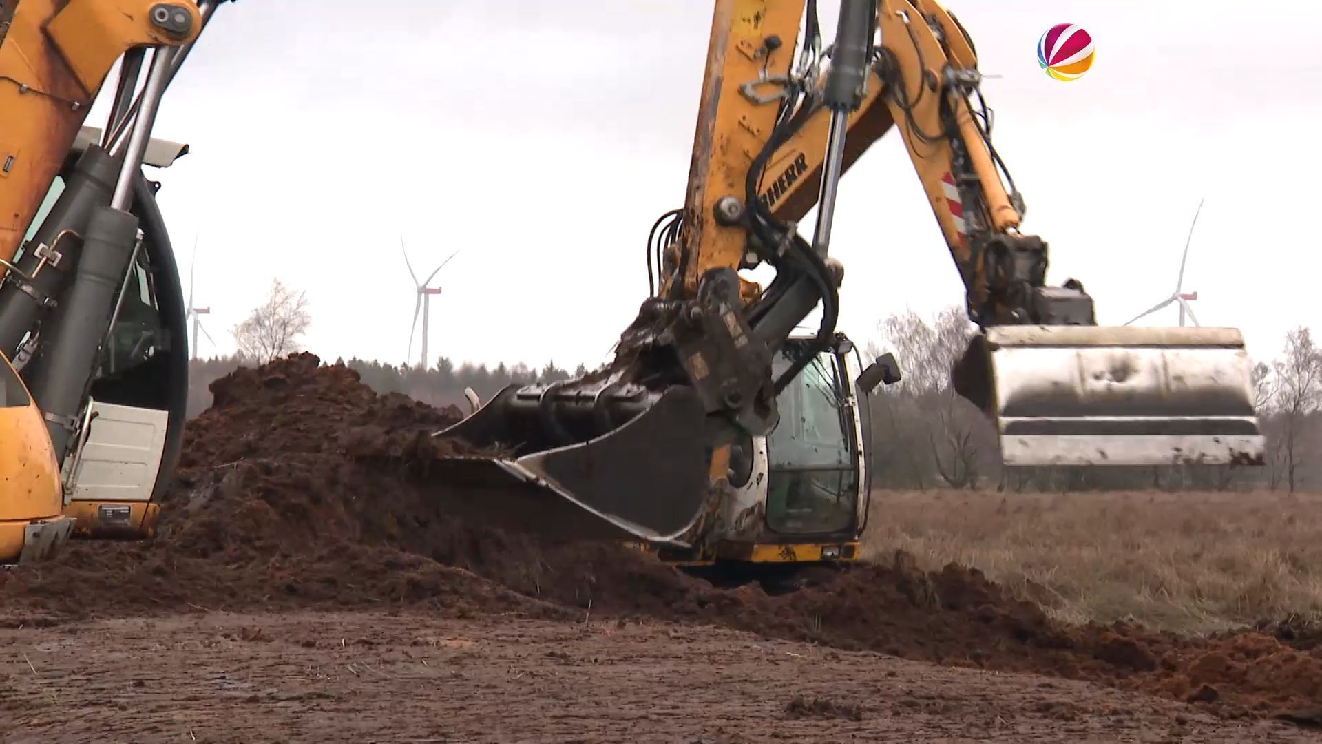 Video: Moore als CO2-Speicher: Große Fläche bei Bad Bramstedt wird wiedervernässt