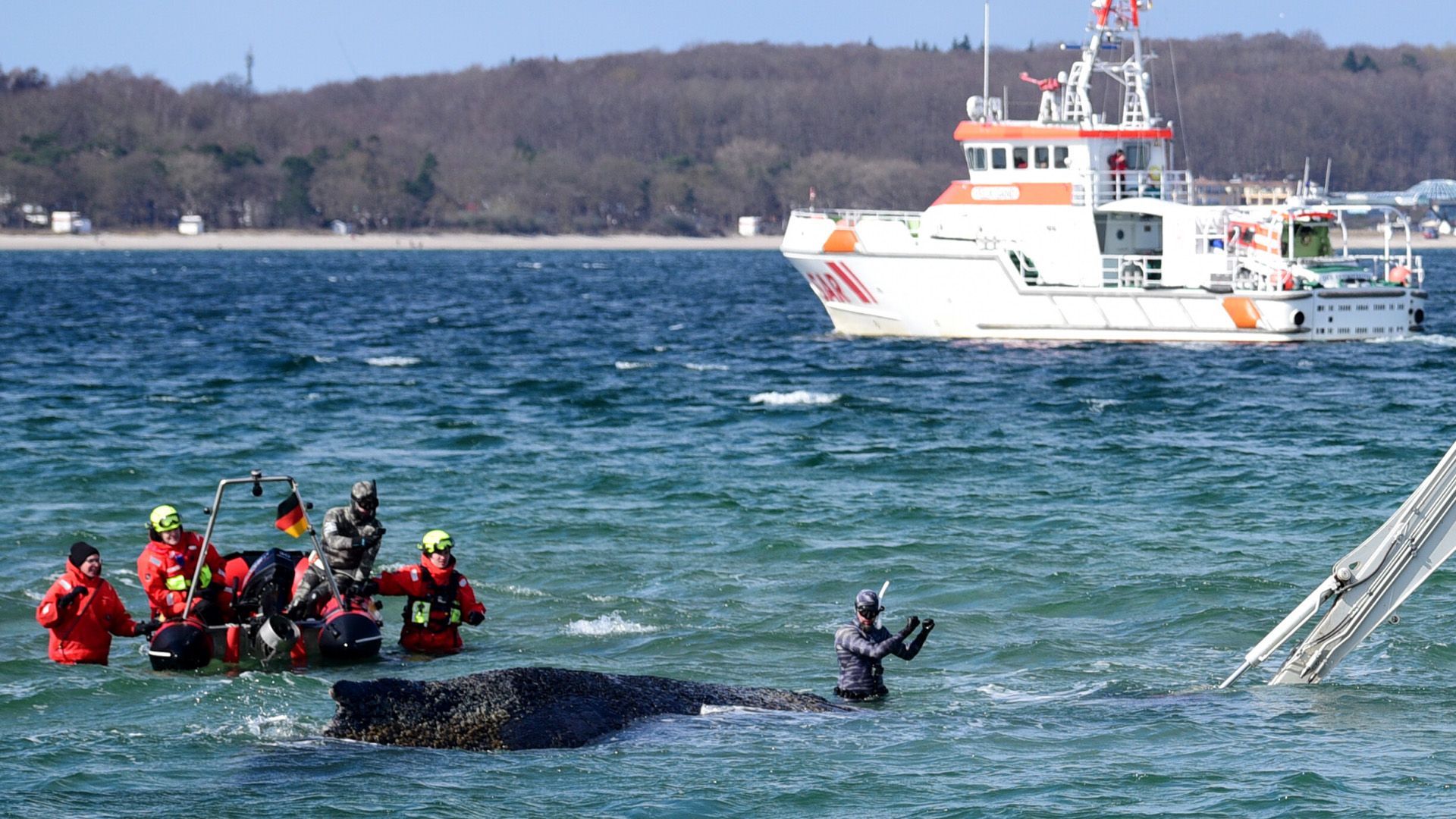 Video: XXL-Bagger graben Rinne für Ostsee-Wal