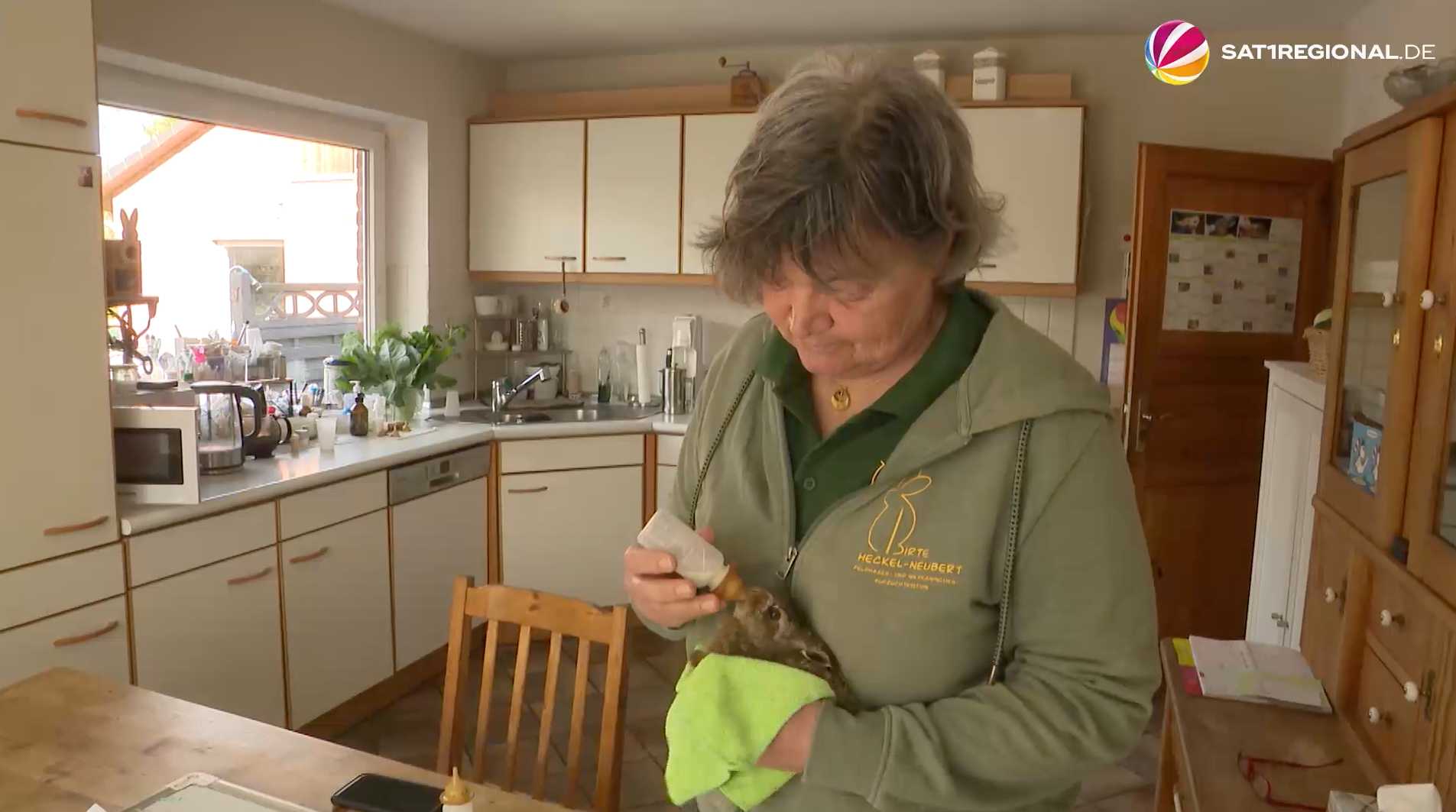 Video: Hasenretterin aus Schellhorn päppelt verletzte und geschwächte Langohren auf