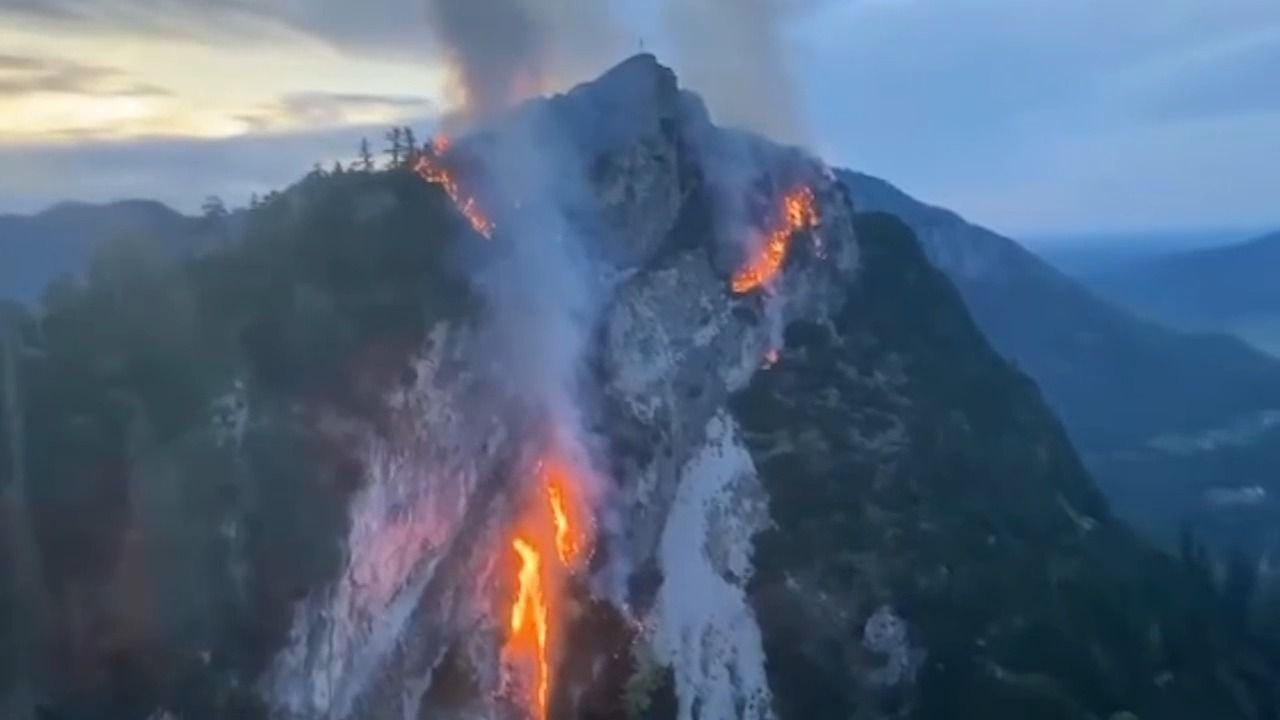 Video: Zukünftig weniger Waldbrände? So sollen Wälder klimafest werden