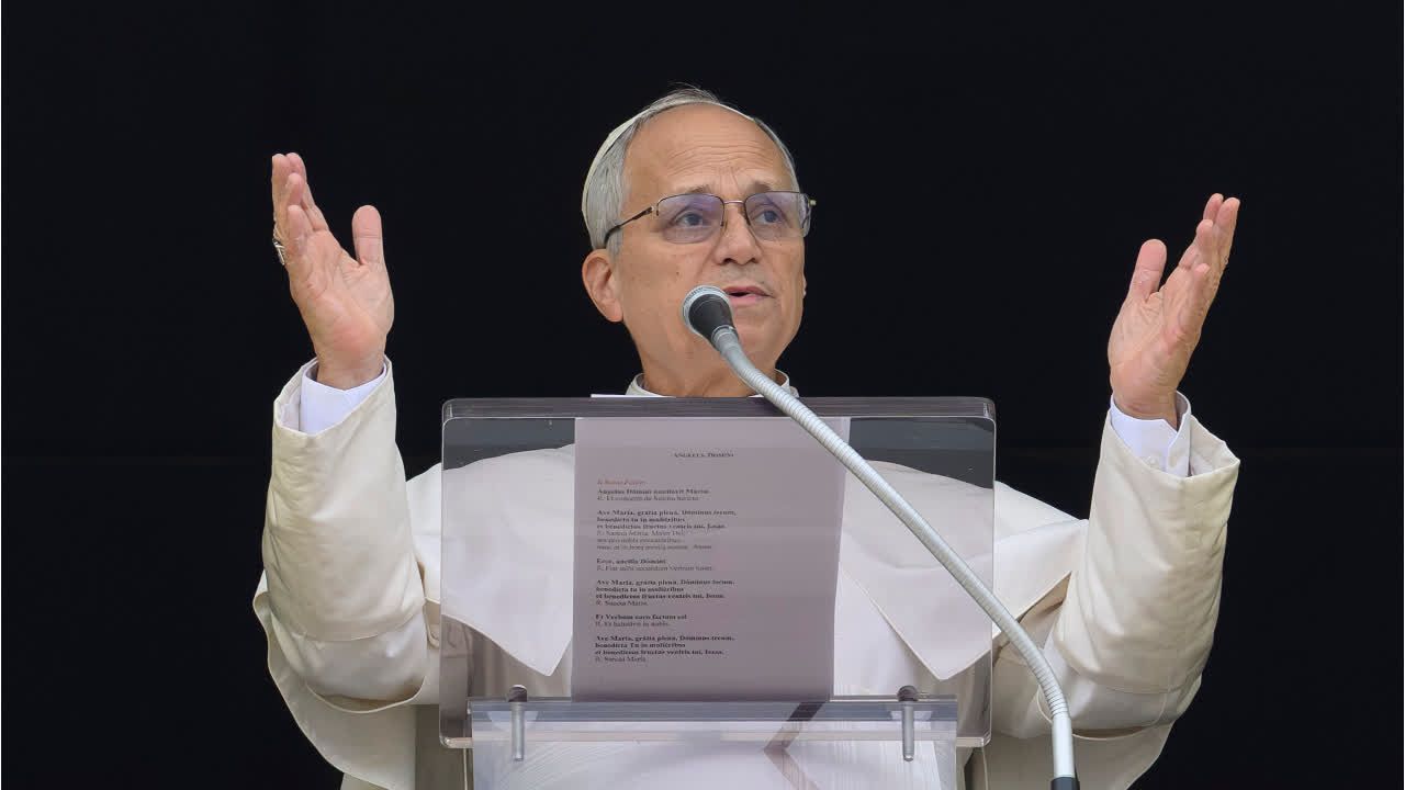 Papst ist nach Lungenoperation krebsfrei