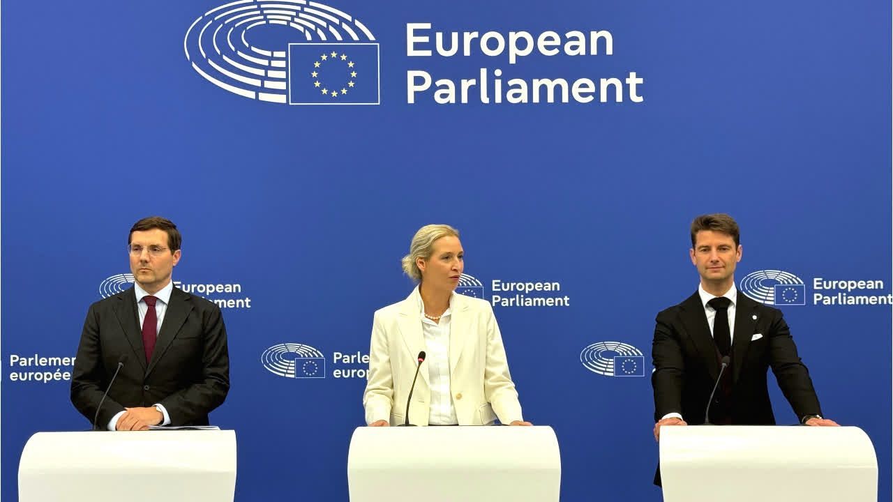 AfD will EU radikal umbauen
