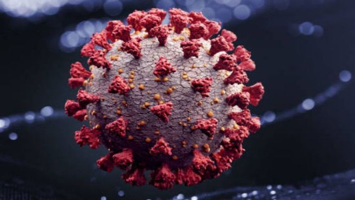 Studie: Sars-CoV-2-Viren bleiben in Luft länger infektiös als gedacht