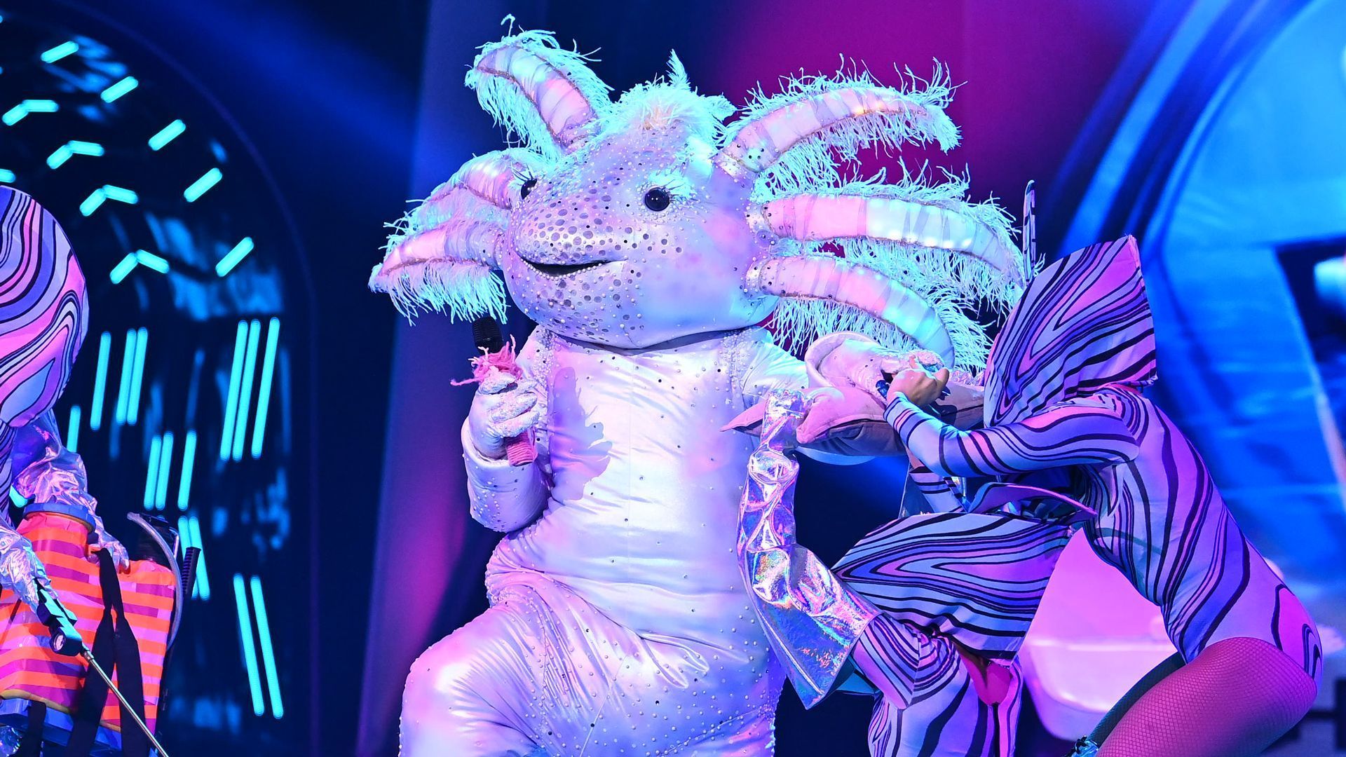 The Masked Singer Das Axolotl performt 'Bongo Cha Cha' von El