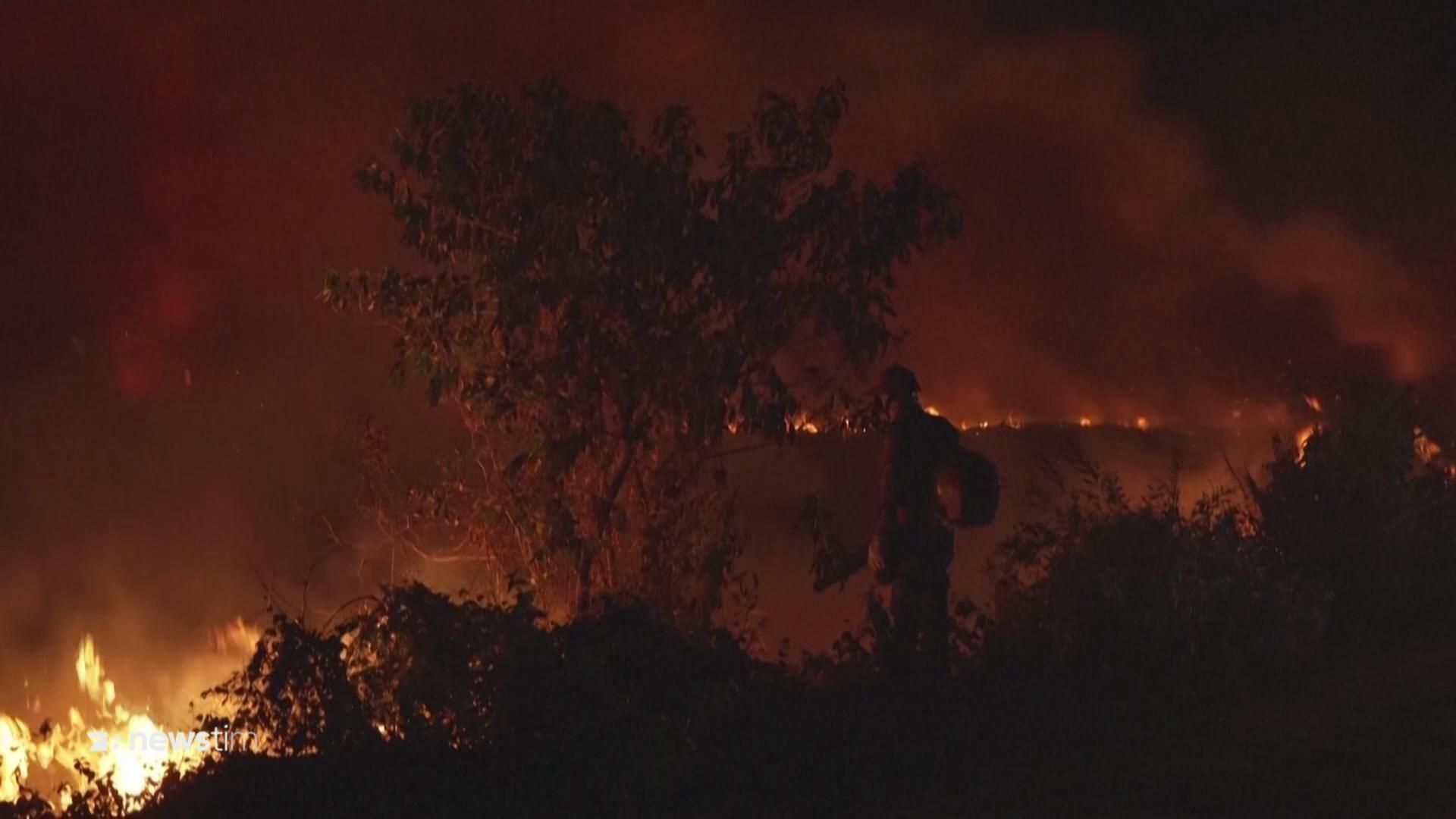 Hitzewelle in Brasilien: Jetzt wüten die Flammen
