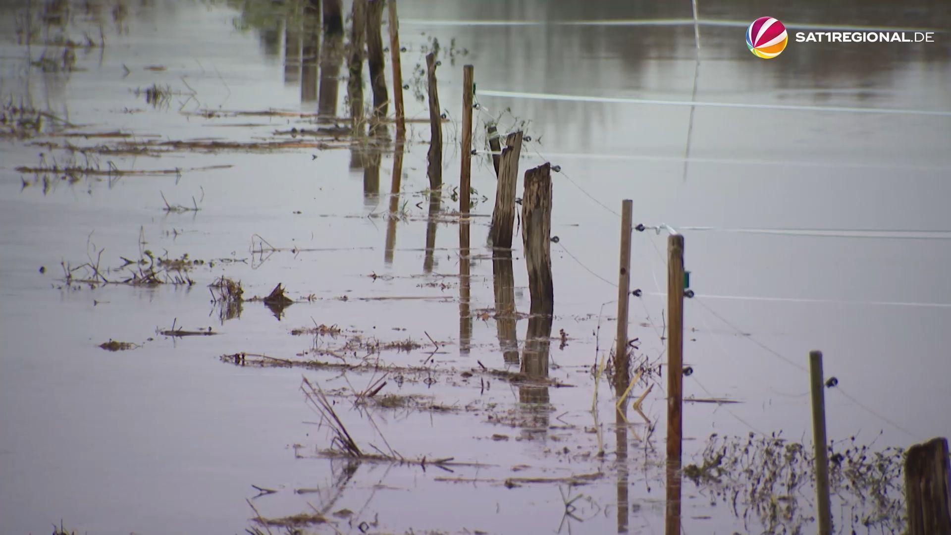 Hochwassergefahr: Flüsse in Niedersachsen treten über die Ufer