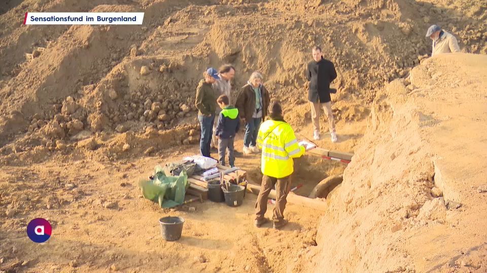 Tausende Jahre alter Stoßzahn: Sensationsfund im Burgenland