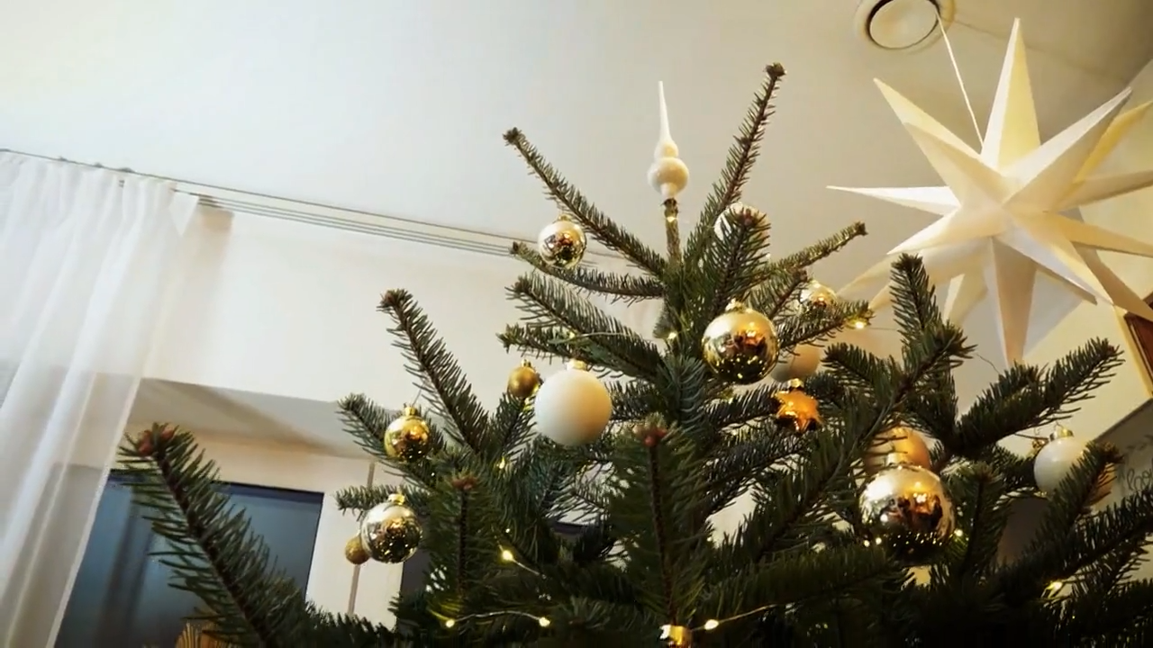 Video: Christbaumtrends 2025: echt, oder künstlich?