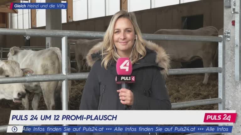 Promi-Plausch im Kuhstall